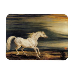 Ímã Marengo, o Cavalo Branco