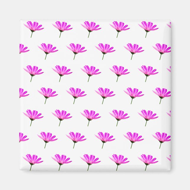 Imã Margarida Rosa    (Frente)