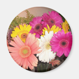 Imã Margaridas do Gerbera