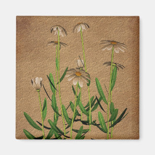 Imã Margaridas em floral de papel envelhecido