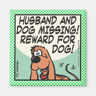 Imã Marido e Cão
