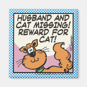 Imã Marido e Gato