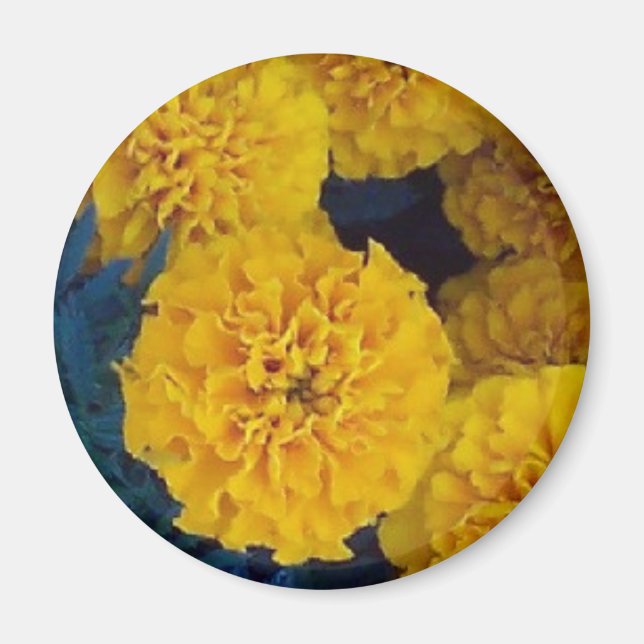 Imã Marigolds Amarelos (Frente)