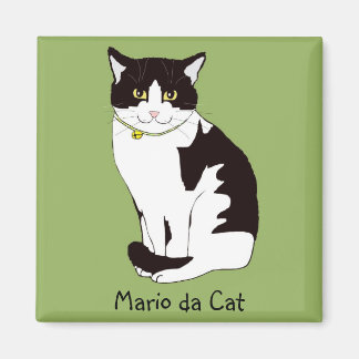 Imã Mario da Cat