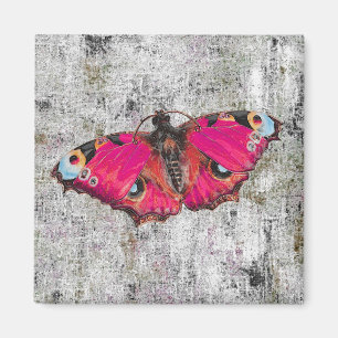 Imã Mariposa ~