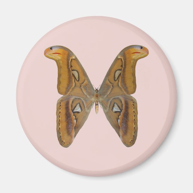 Imã Mariposa Atlas (Frente)