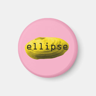 Imã Marisco. Elipse