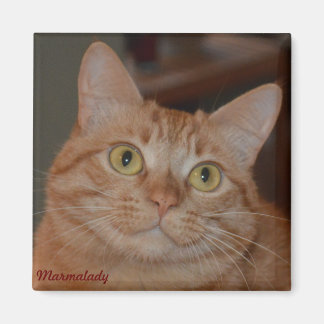 Imã Marmalady e "O Sorriso"