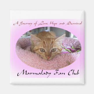 Imã Marmalady Magnet