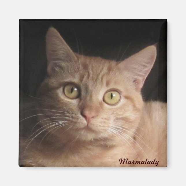 Imã Marmalady Magnet (Frente)