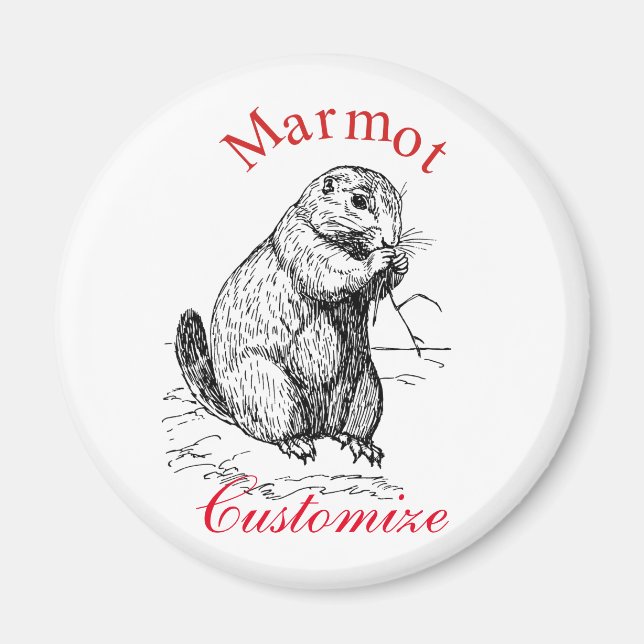 Imã Marmot Marmot Thunder_Cove (Frente)