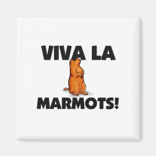 Imã Marmota do La de Viva