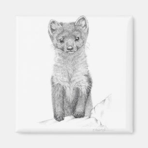 Imã marten de pinho