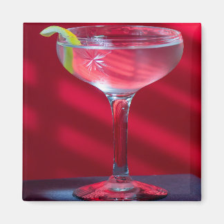 Imã Martini Magnet