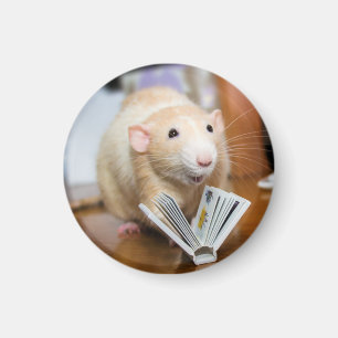 Imã Marty Mouse ama ler o Magnet