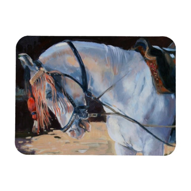 Ímã Marwari Horse Rajasthan 2010 (Horizontal)