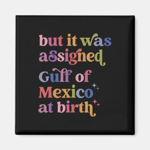 Imã Mas Foi Ignorado No Golfo Do México Ao Nascimento