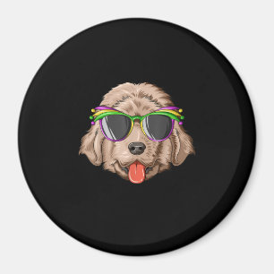 Imã Máscara de carnaval na Terra Nova   presente na n