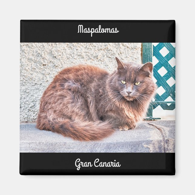 Imã Maspalomas Cat (Frente)
