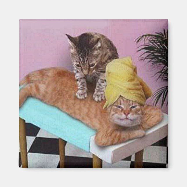 Imã Massagem de Gato Engraçado (Frente)