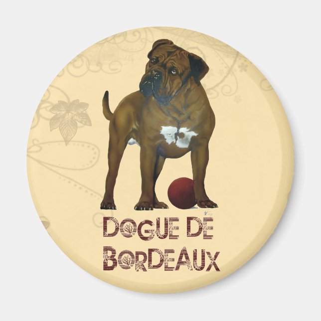 Imã Mastiff Francês (Frente)