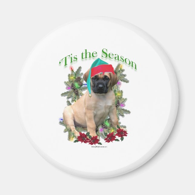 Imã Mastiff "Tis (Frente)