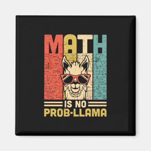 Imã Matemática Do Professor De Matemática Não É Pr