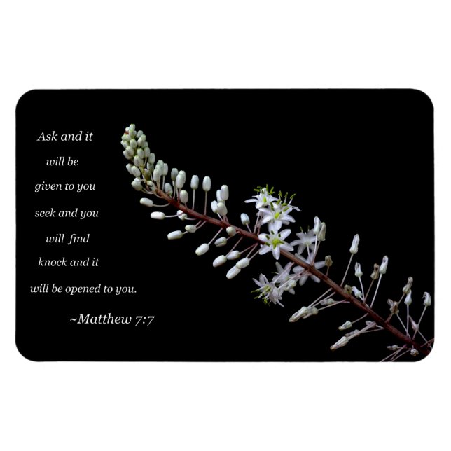 Ímã Mateus 7:7 (Horizontal)