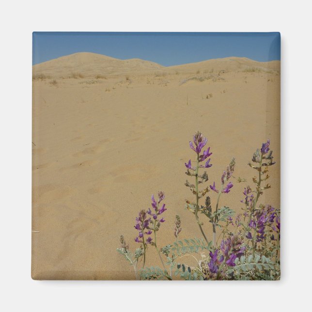 Imã Mato de Índigo de Mojave e Dunas de Kelso (Frente)
