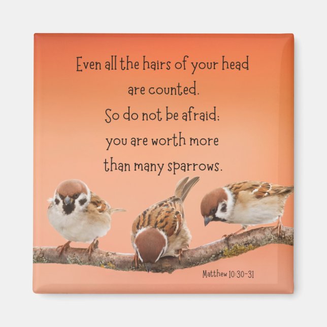 Imã Matthew Magnet de 10:30-31 2" (Frente)