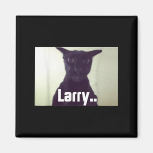 Imã Mau Larry Meme Larry Cat Meme Maldito Memes Brainr
