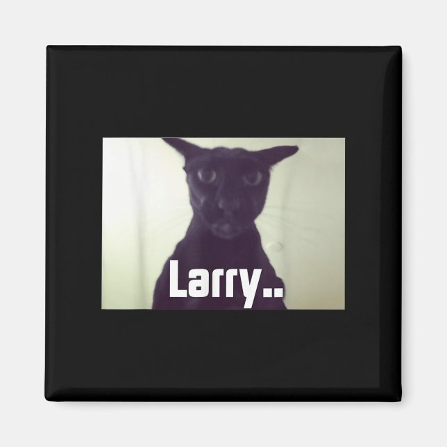 Imã Mau Larry Meme Larry Cat Meme Maldito Memes Brainr (Frente)