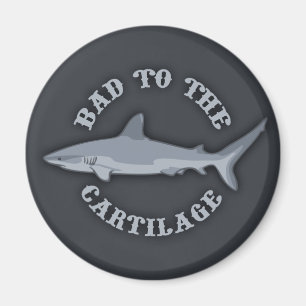 Imã Mau para a Cartilagem