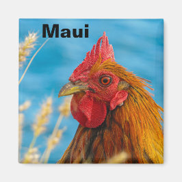 Imã Maui Chicken Magnet