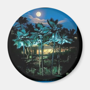 Imã Maui perfeito