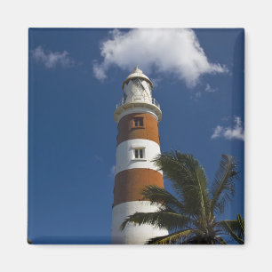 Imã Maurícia, Maurícia Ocidental, Belle Vue, Albion