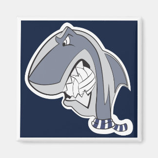 Imã MBB '04 | Calamita