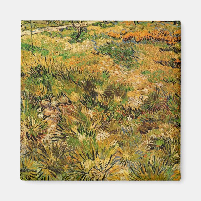 Imã Meadow no Hospital Paul Santo por Vincent van Gogh (Frente)