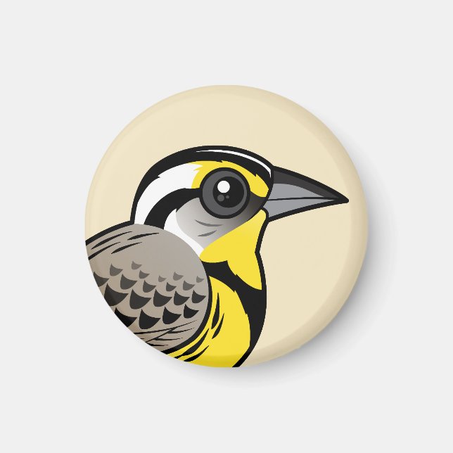 Imã Meadowlark Ocidental (Frente)