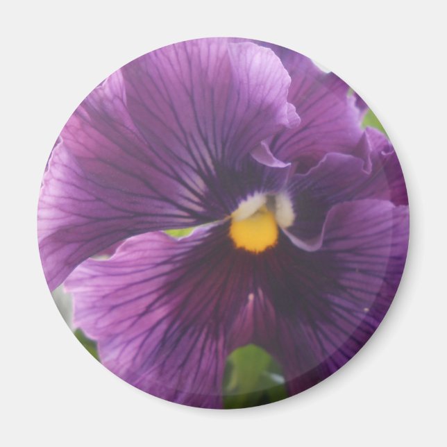 Imã Mecânica (Frente)