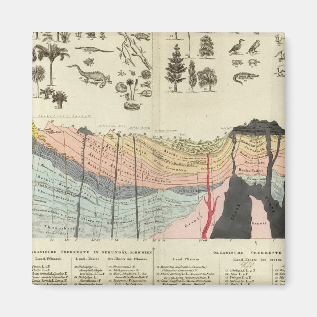 Imã Média de uma parte da crosta terrestre (Frente)