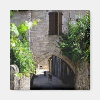 Imã Medieval, ímã