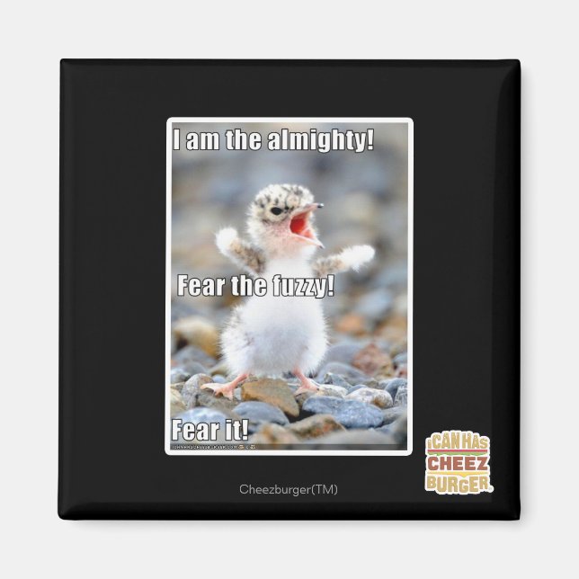 Imã Medo do Felpudo! (Frente)