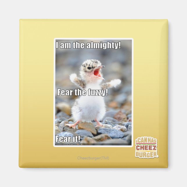 Imã Medo do Felpudo! (Frente)