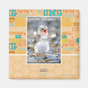 Imã Medo do Felpudo!