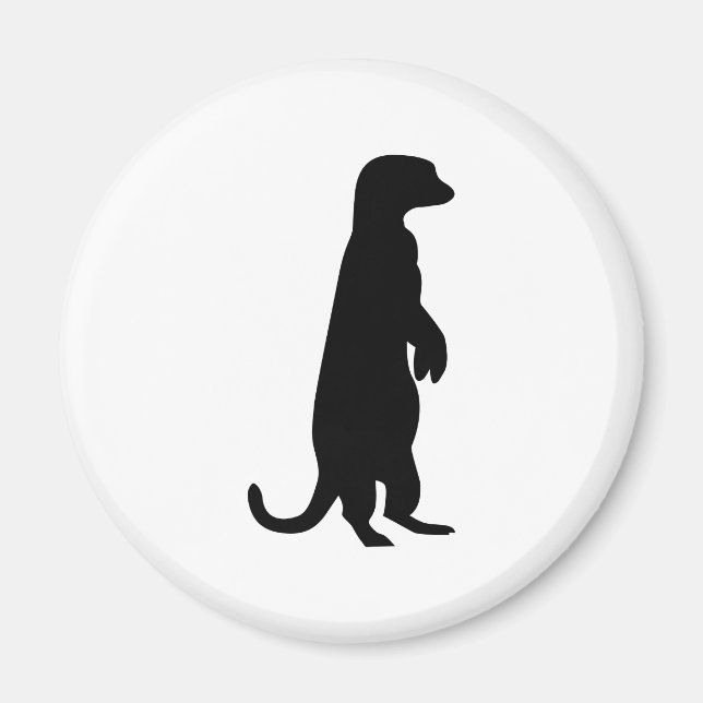 Imã Meerkat (Frente)