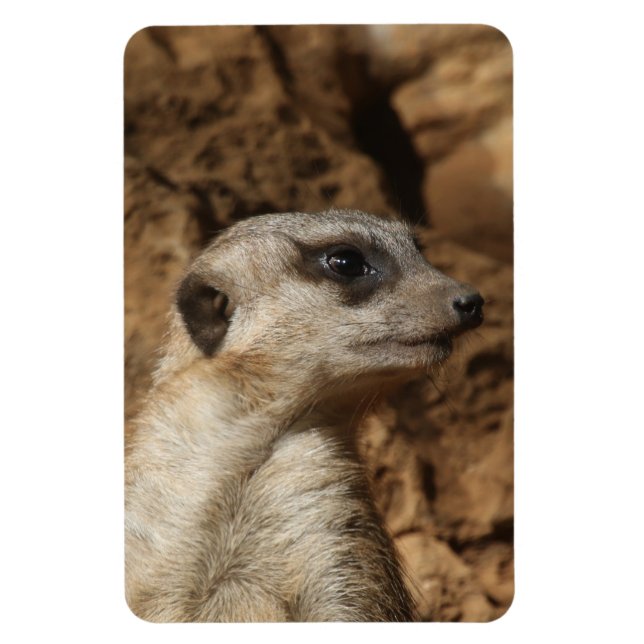 Ímã Meerkat 029 (Vertical)
