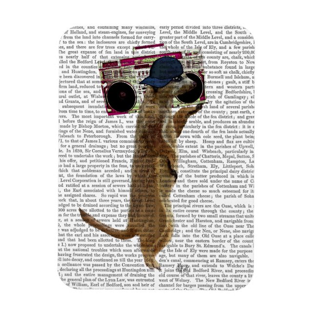 Ímã Meerkat com Boom Box e Blaster 2 (Vertical)