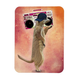 Ímã Meerkat e Boom Box