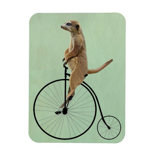 Ímã Meerkat em Black Penny Farthing 2 (Vertical)